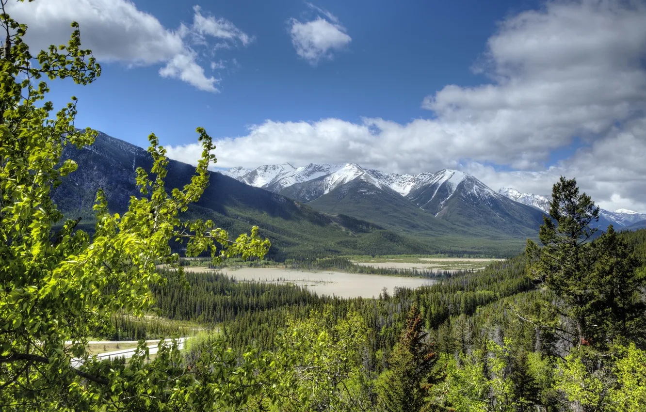 Фото обои лес, Канада, Альберта, Banff National Park, Alberta, Canada, Скалистые горы, Банф