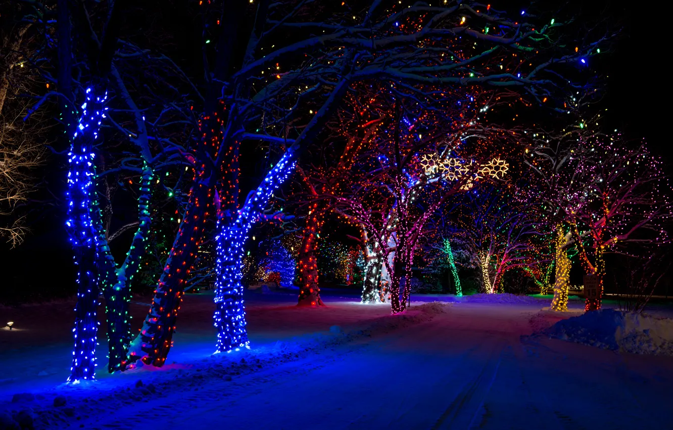 Фото обои зима, снег, ночь, природа, огни, дерево