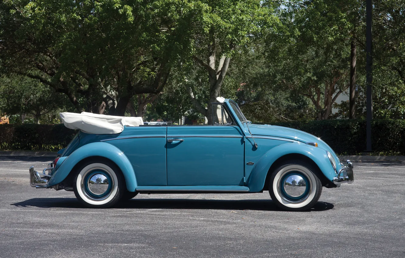Фото обои Volkswagen, Beetle, ретро автомобили, Cabriolet, 1963, retro cars, Volkswagen Beetle Cabriolet