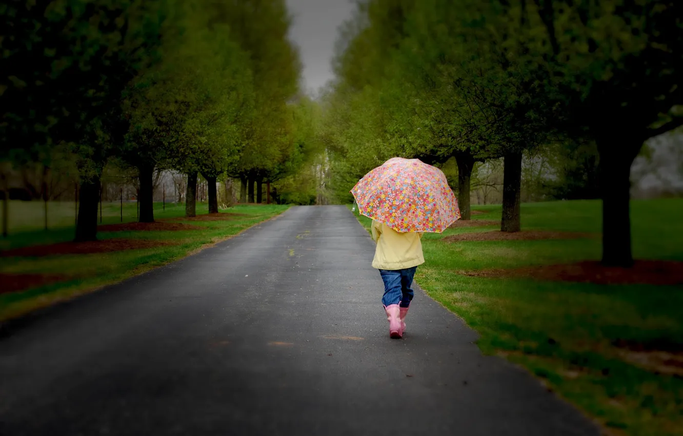 Фото обои дорога, грусть, деревья, природа, дети, детство, зонтик, ребенок