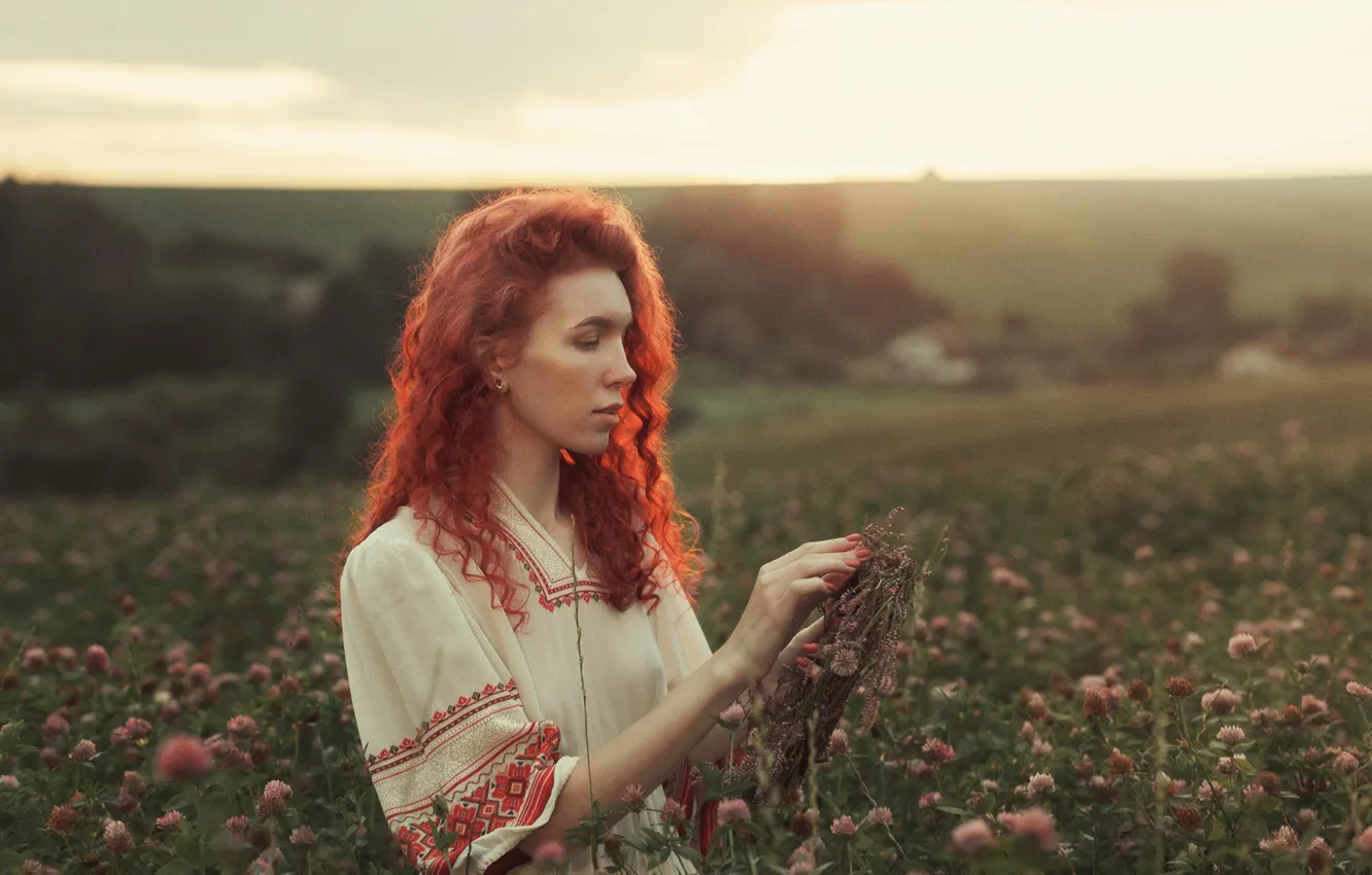 Фото обои поле, девушка, природа, профиль, рыжая, вышиванка, Zhodik Serge