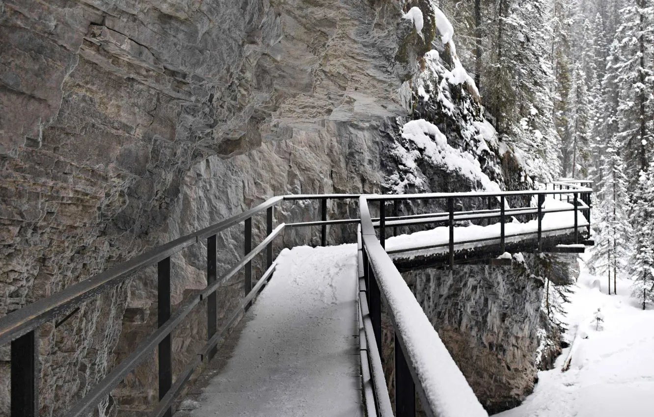 Фото обои зима, снег, скала, Канада, Альберта, мостик, Джонсон-Каньон