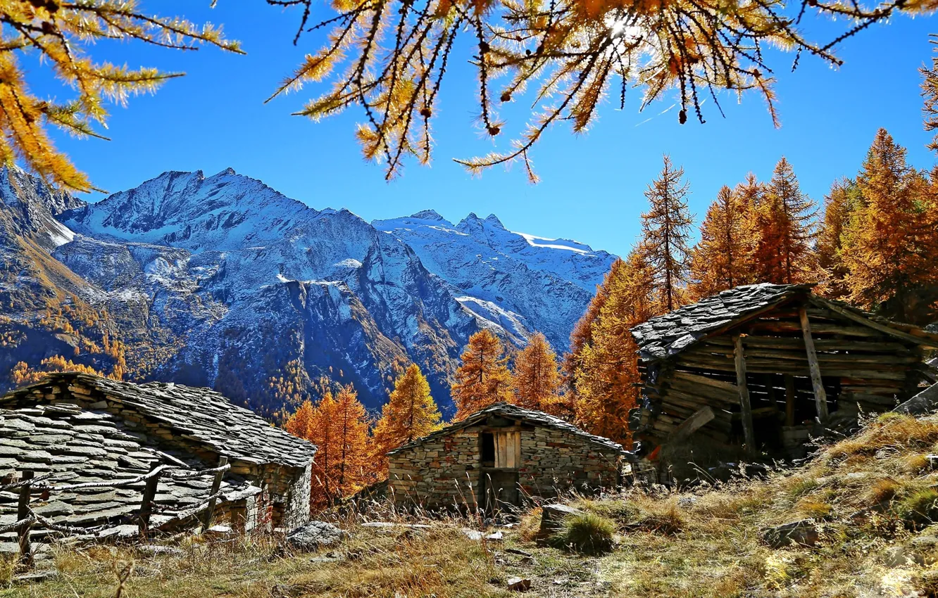 Фото обои осень, горы, Альпы, Италия, Italy, Cogne, Valle d'Aosta, сарайчики