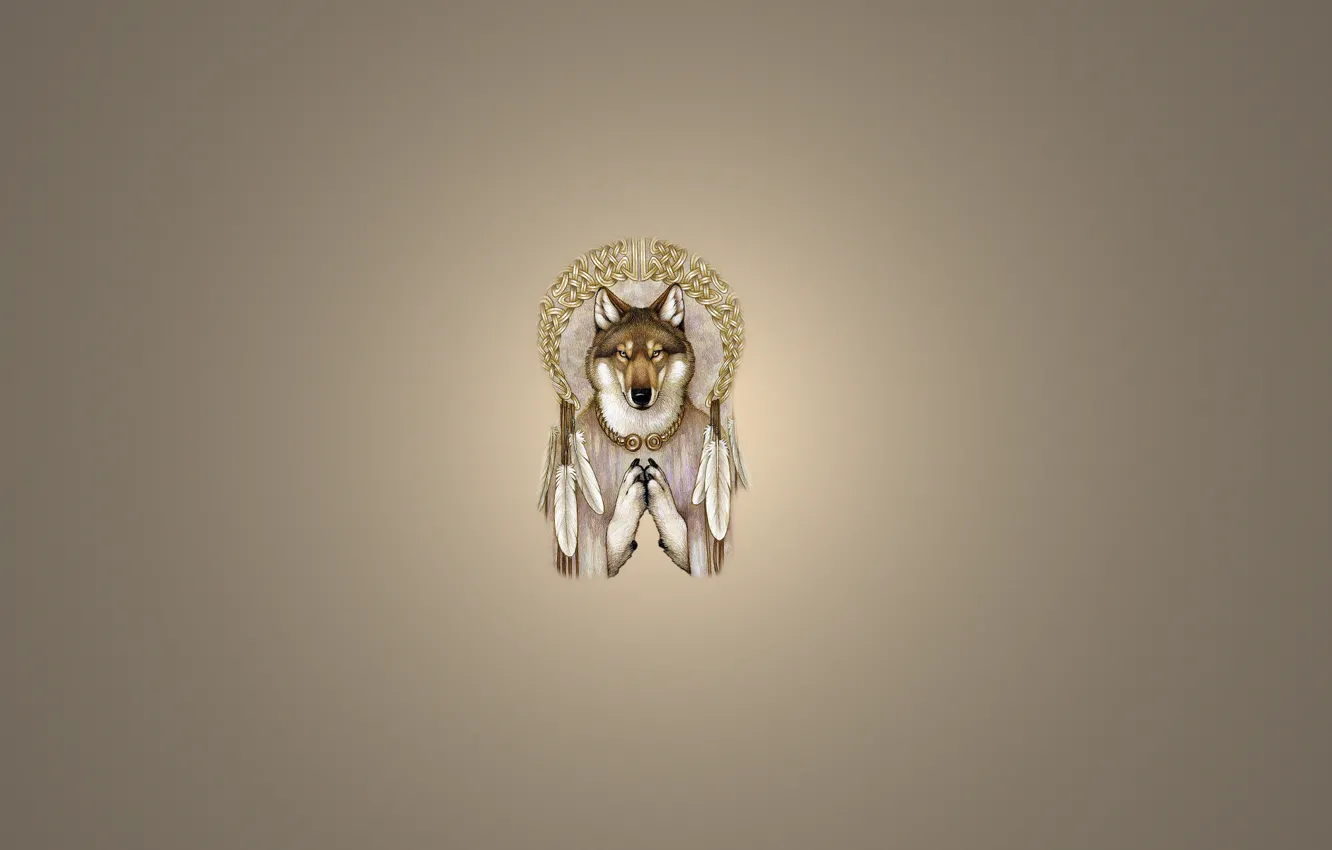 Фото обои волк, минимализм, перья, светлый фон, wolf, Dreamcatcher, ловец снов