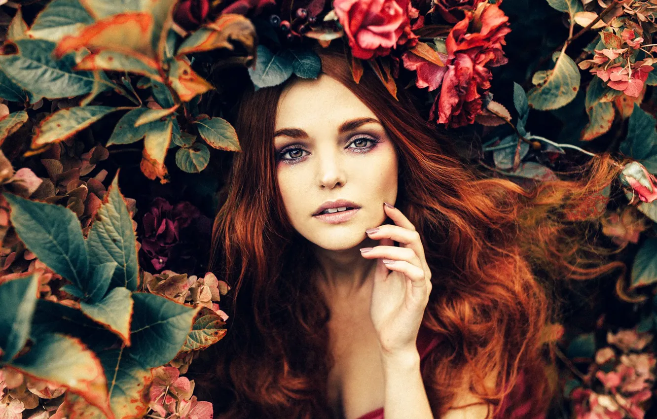 Фото обои взгляд, девушка, цветы, лицо, волосы, рука, Rosie Hardy