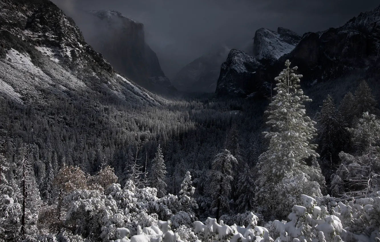 Фото обои лес, снег, горы, долина, Калифорния, California, Yosemite Valley, Yosemite National Park