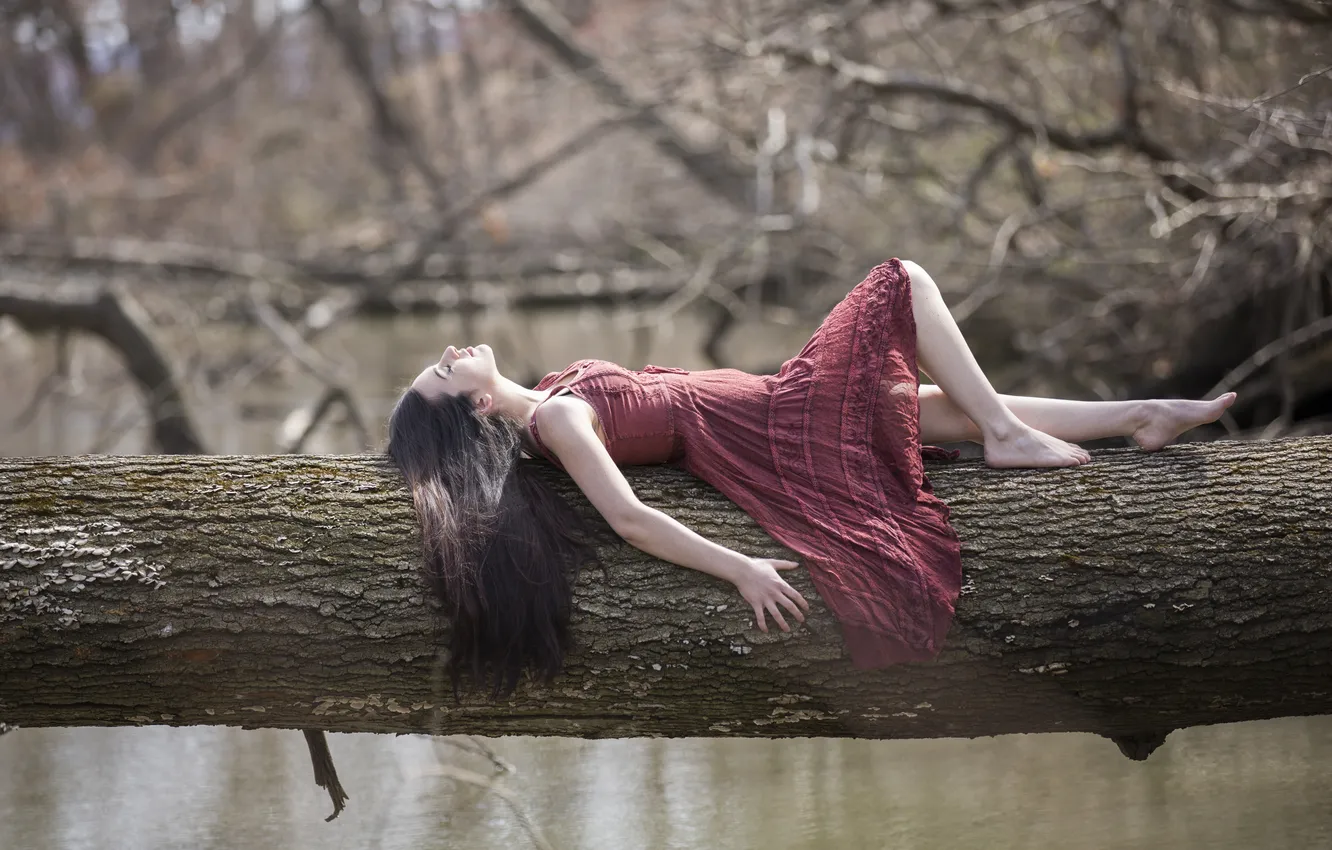 Фото обои девушка, поза, дерево, платье, лежит