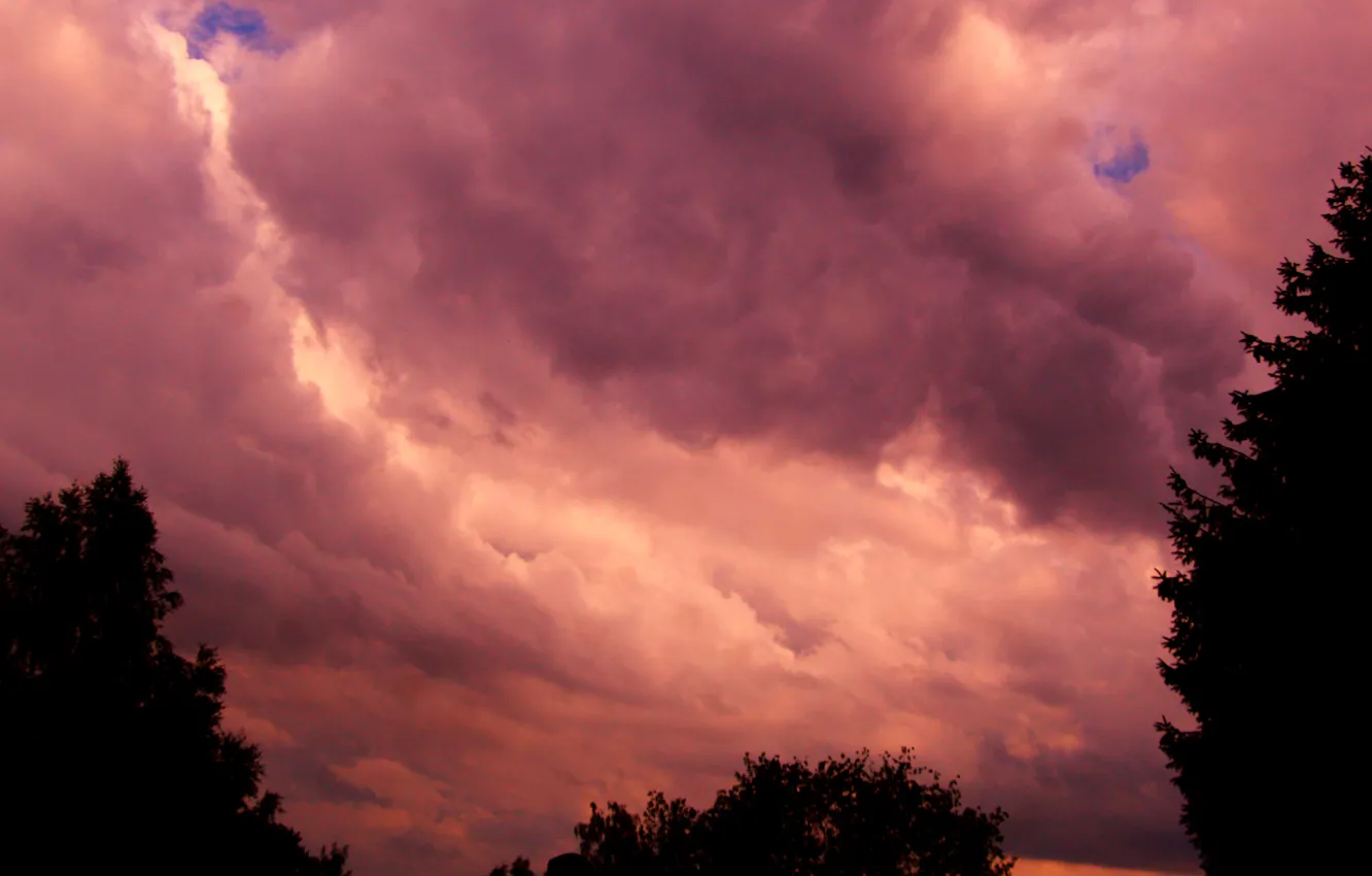 Фото обои dark, storm, sky, cloud, tree