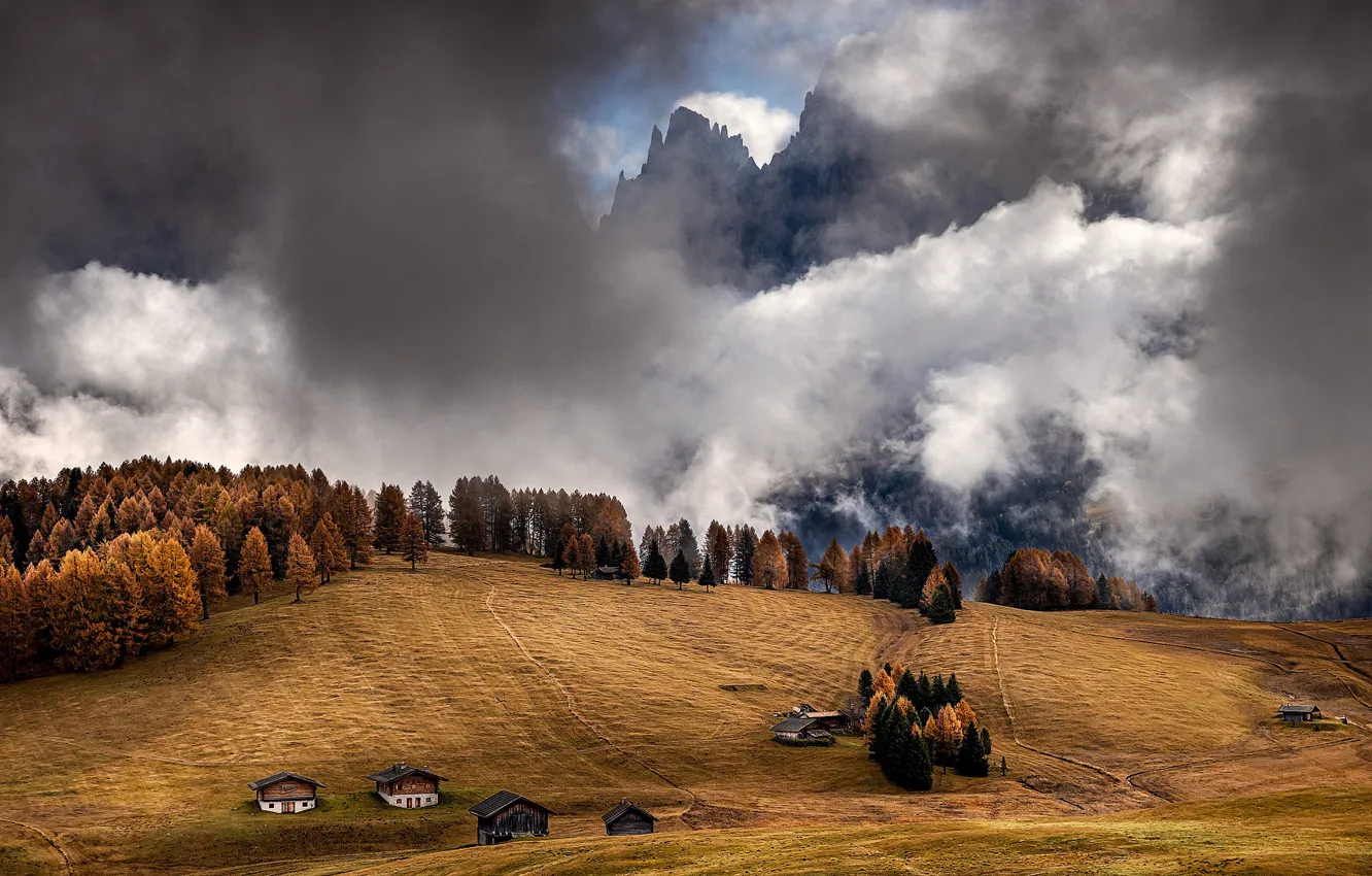 Фото обои поле, осень, лес, облака, горы, туман, холмы, вершины