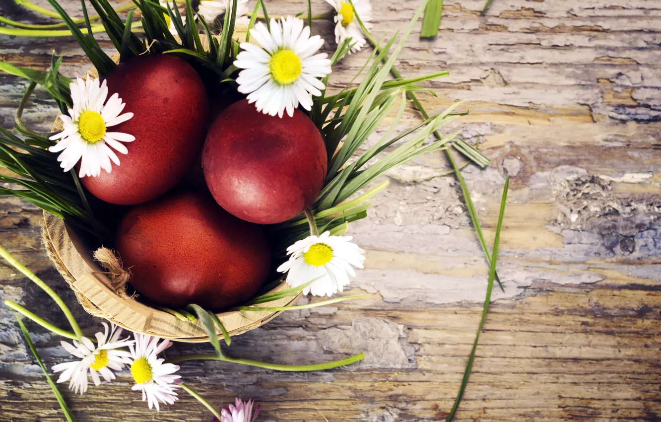 Фото обои трава, цветы, праздник, доски, ромашки, яйца, Пасха, Easter