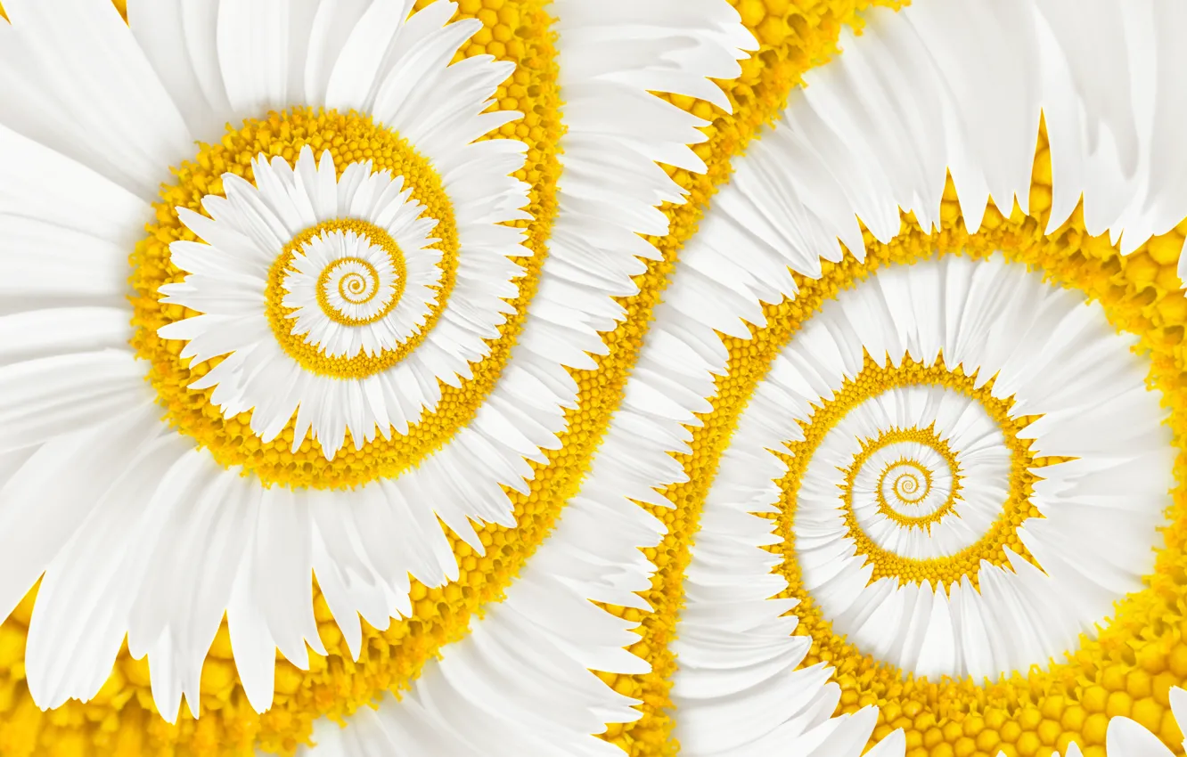 Фото обои портал, ромашка, калейдоскоп, белый цветок, математическая прогрессия