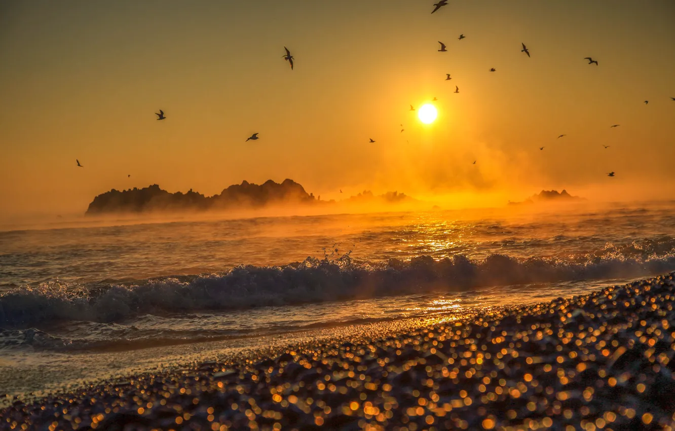 Фото обои море, солнце, пейзаж, закат, птицы, природа, галька, скалы