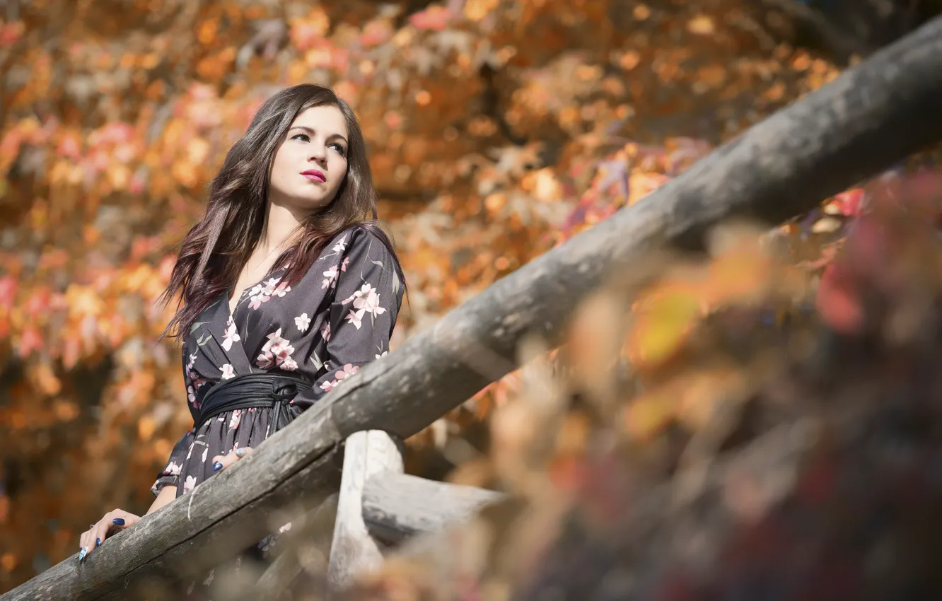 Фото обои девушка, лицо, фон, Sara