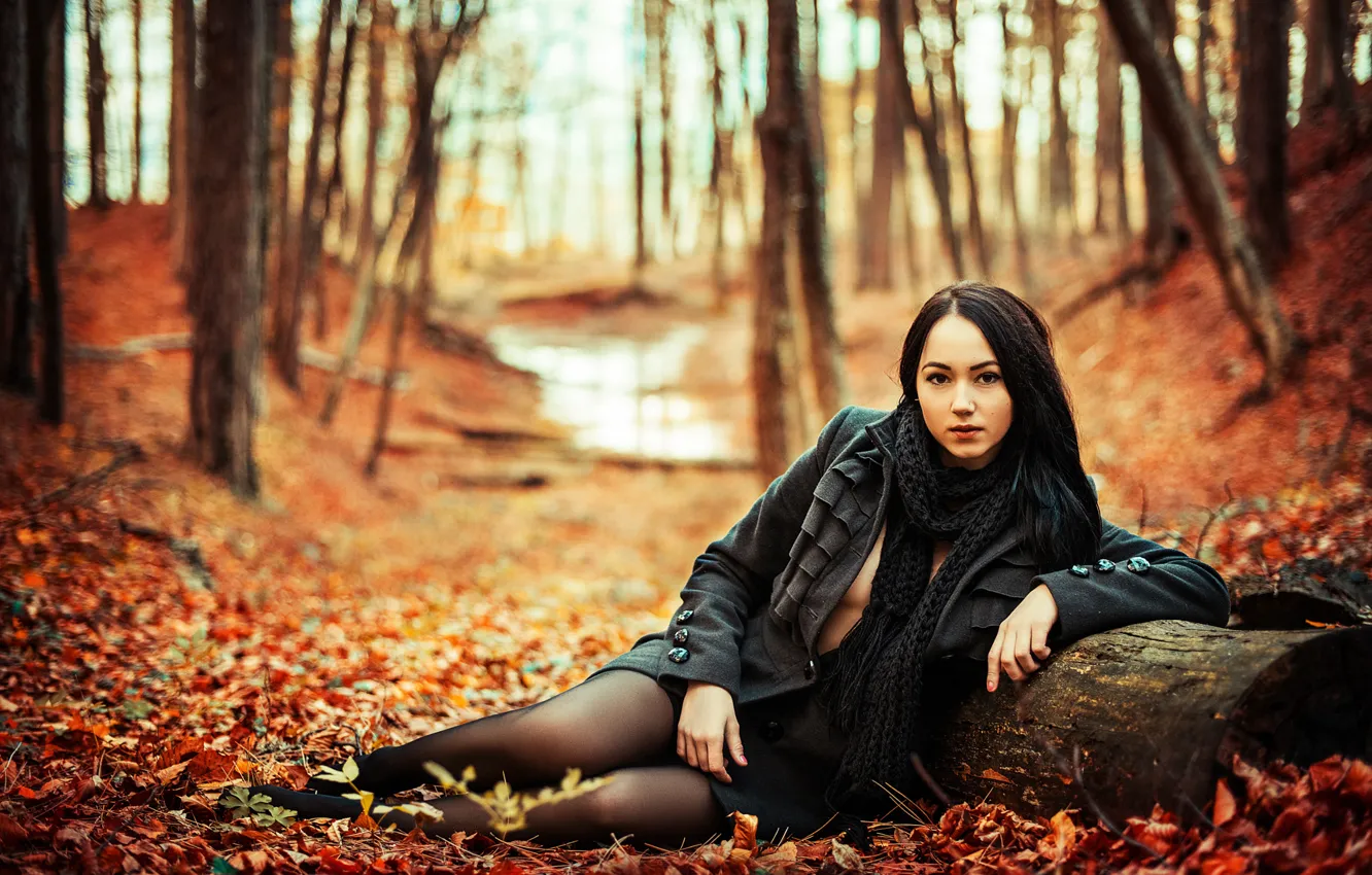 Фото обои осень, листья, девушка, декольте, ножки, багрянец, Илья Жирнов