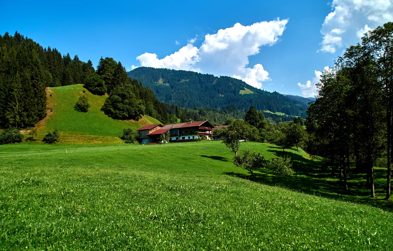 Фото обои небо, трава, облака, деревья, горы, дом, поля, Германия