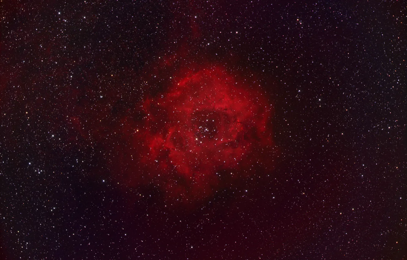 Фото обои Розетка, гигантская, эмиссионная туманность, в созвездии Единорог