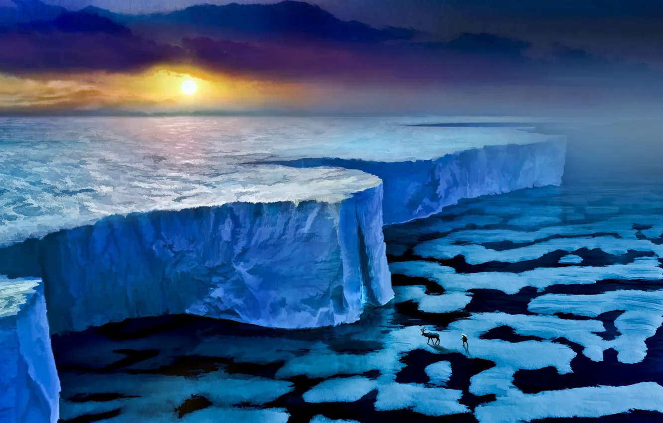 Фото обои лед, море, закат, стена, животное, человек, олень, льды