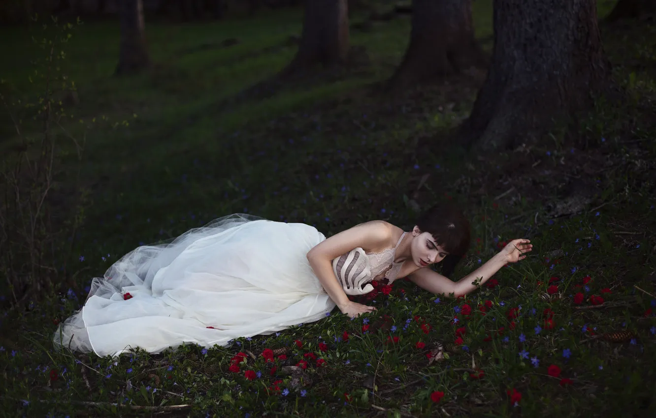 Фото обои лес, девушка, платье, Aleah Michele, With heavy eyes and a weary heart