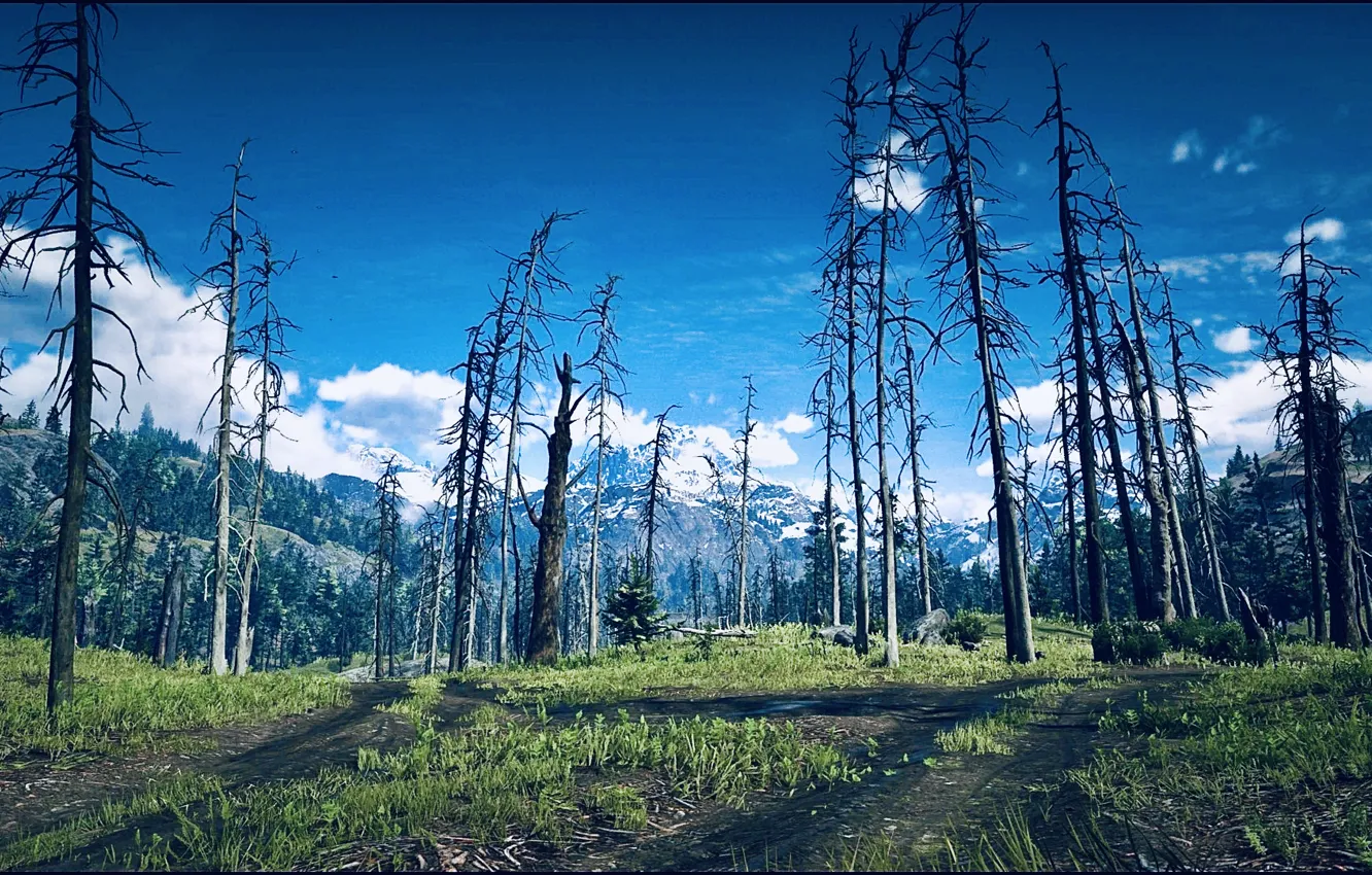 Фото обои HDR, game, sky, trees, wood, clouds, mountain, UHD