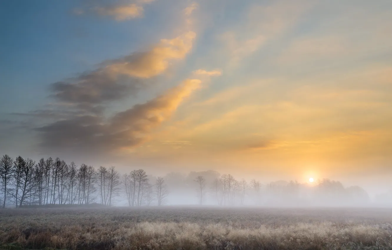 Фото обои Autumn, morning, foggy