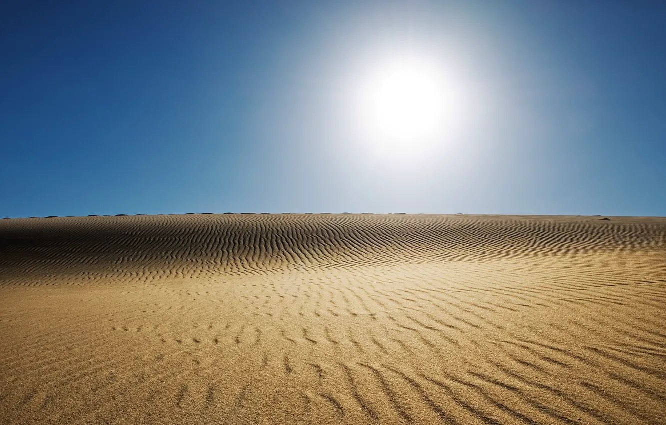 Фото обои солнце, пустыня, пекло, жара