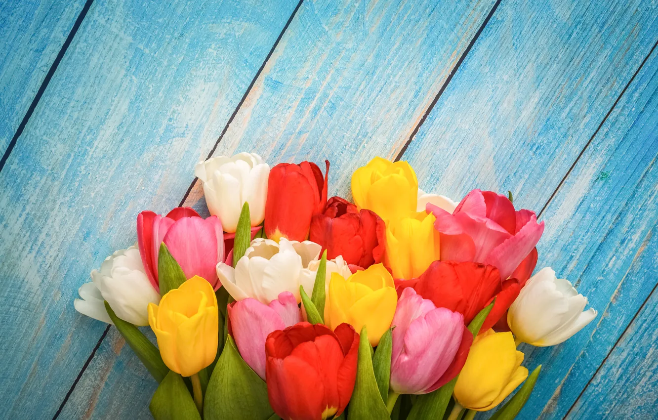 Фото обои цветы, colorful, тюльпаны, wood, flowers, tulips, spring