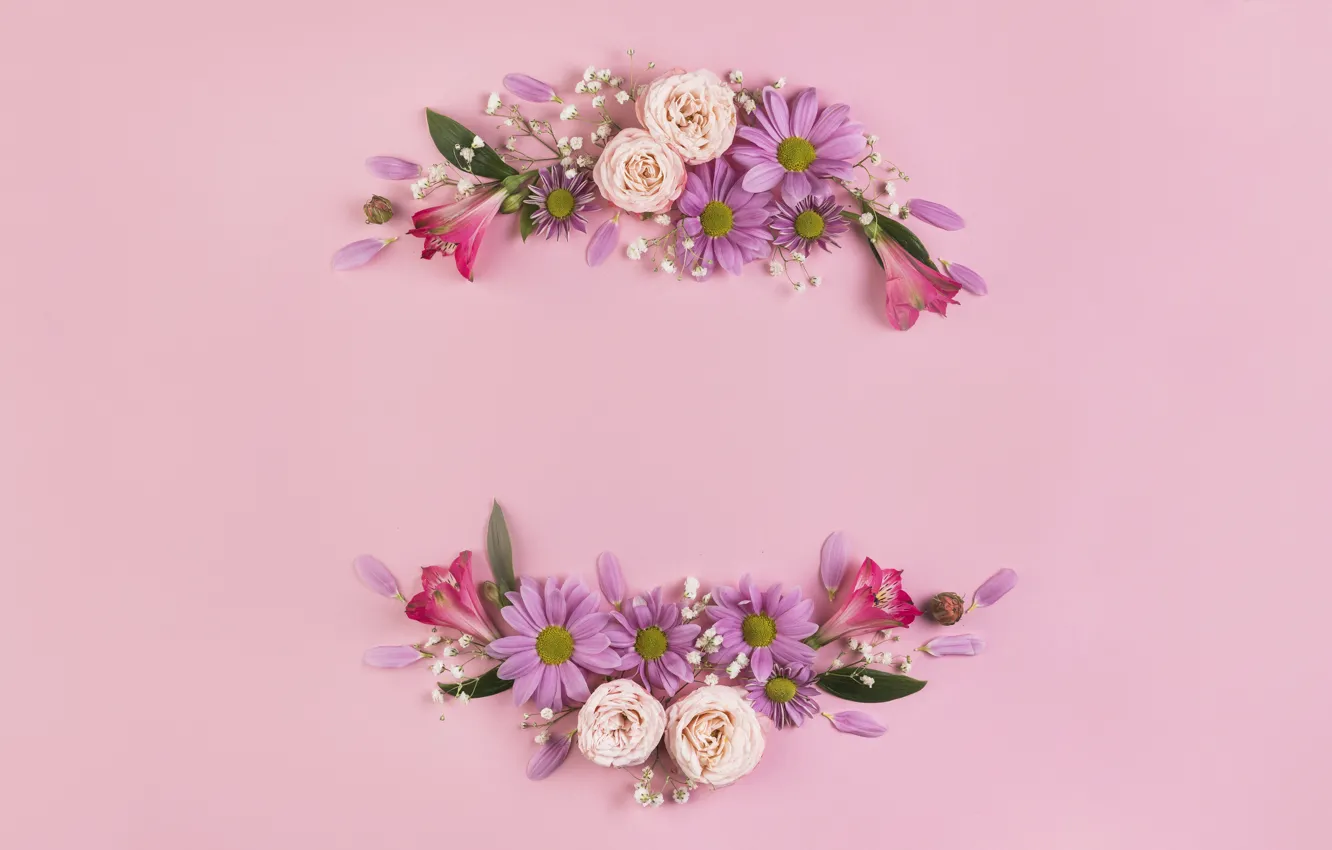Фото обои цветы, розы, лепестки, розовые, розовый фон, pink, flowers, romantic