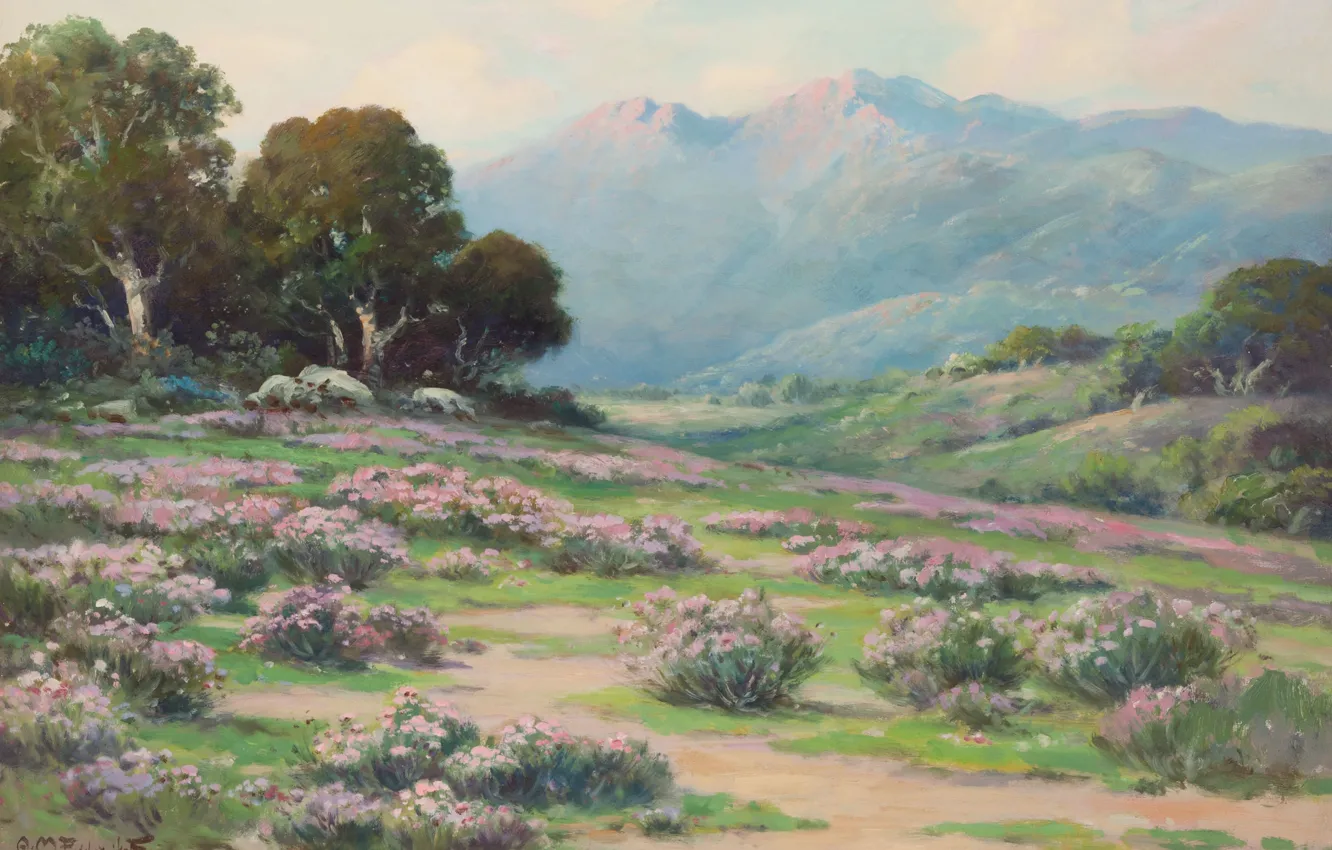 Фото обои цветы, горы, склон, Alexei Matthew
