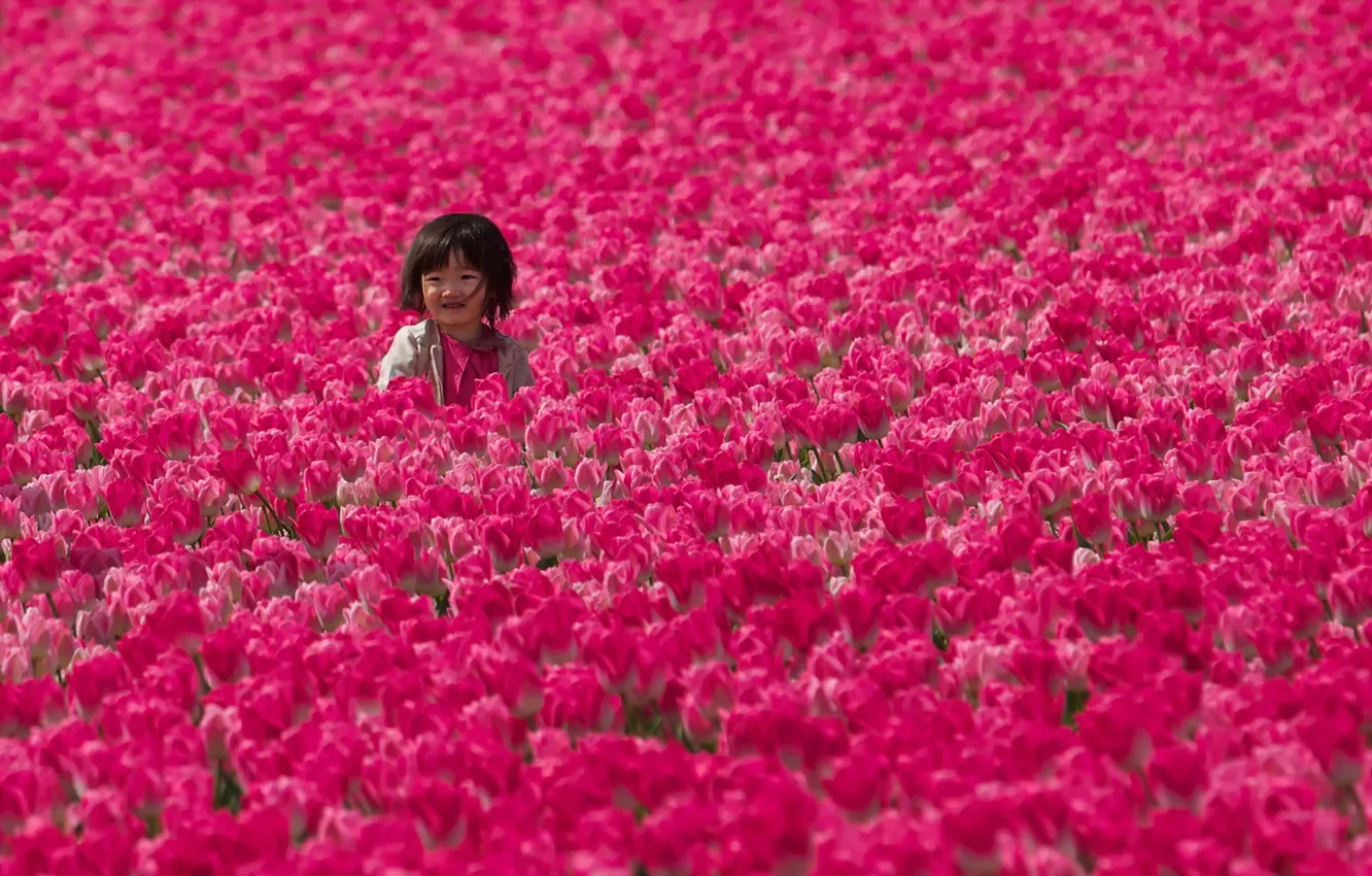 Фото обои поле, девочка, тюльпаны