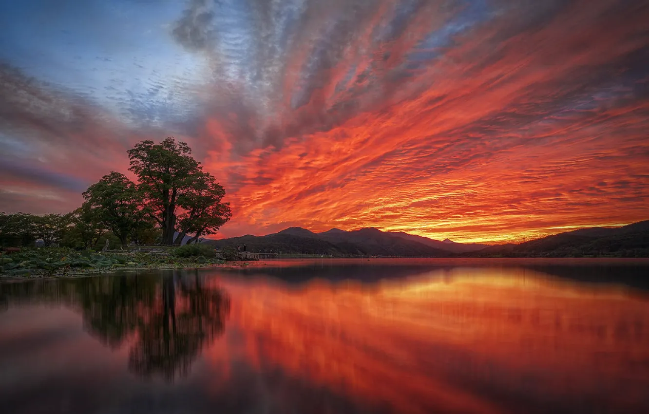 Фото обои небо, деревья, горы, озеро, рассвет
