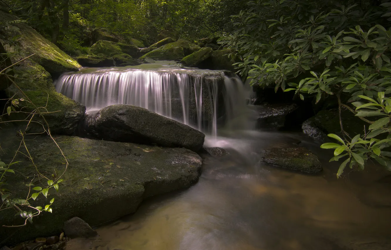 Фото обои лес, река, ручей, камни, водопад, мох