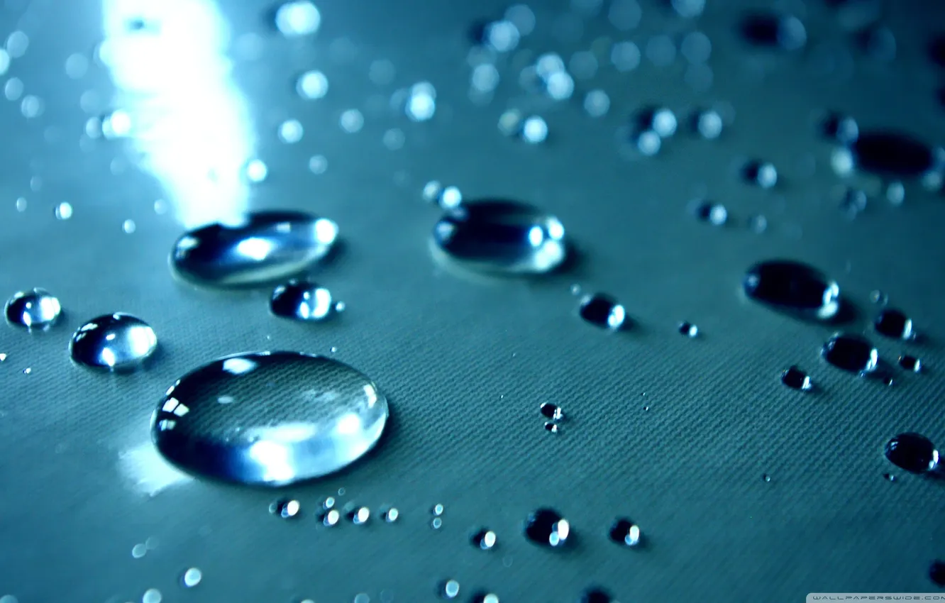 Фото обои вода, капли, поверхность, после дождя