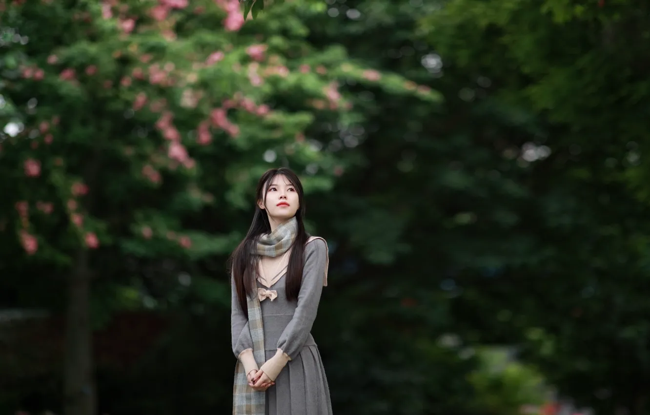 Фото обои Beautiful, Asian, Model, Woman, Pretty, Scarf, Outdoor
