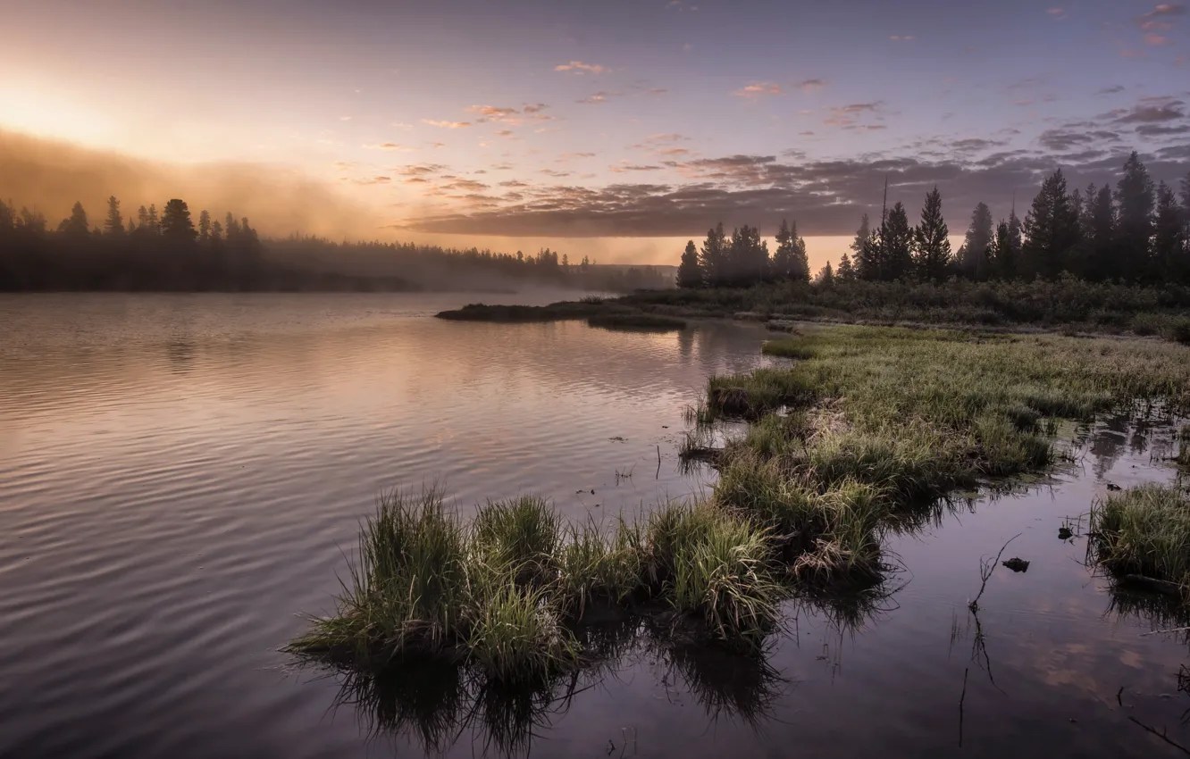 Фото обои природа, туман, озеро
