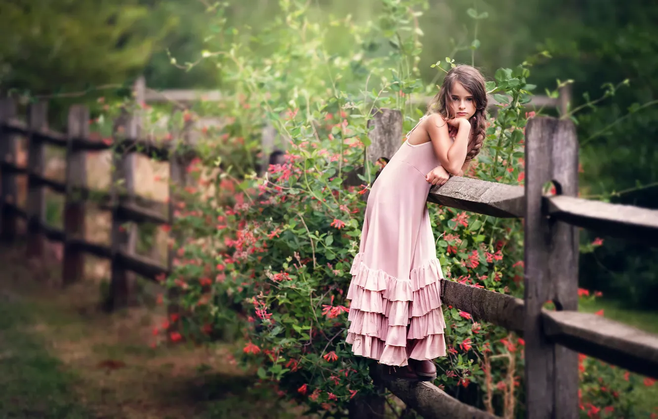 Фото обои цветы, забор, платье, девочка, ребёнок