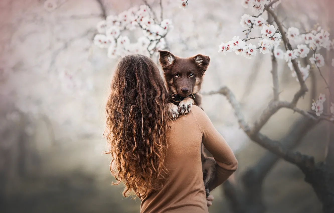 Фото обои девушка, деревья, волосы, милый, щенок