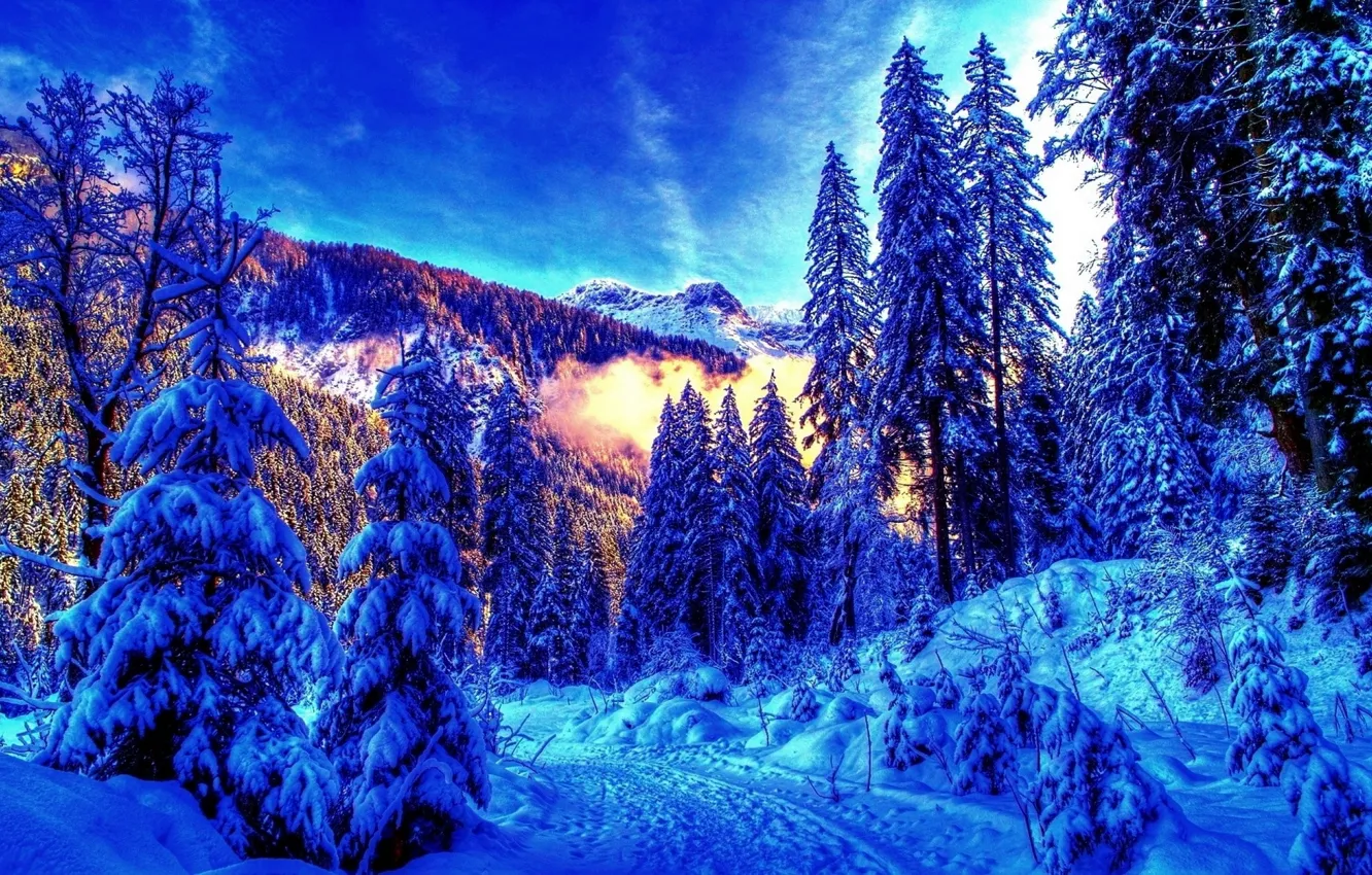 Фото обои зима, лес, пейзаж, горы