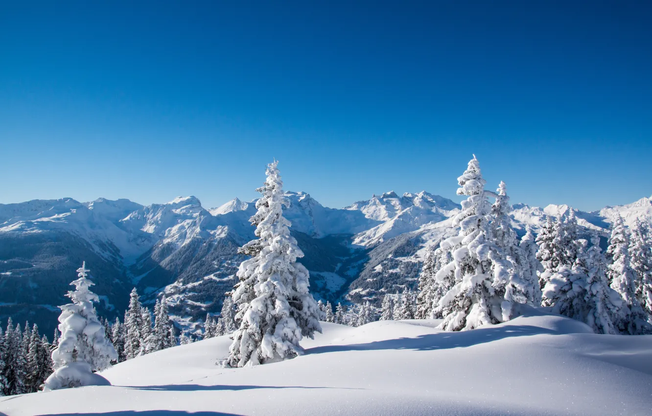 Фото обои зима, снег, деревья, горы, ели