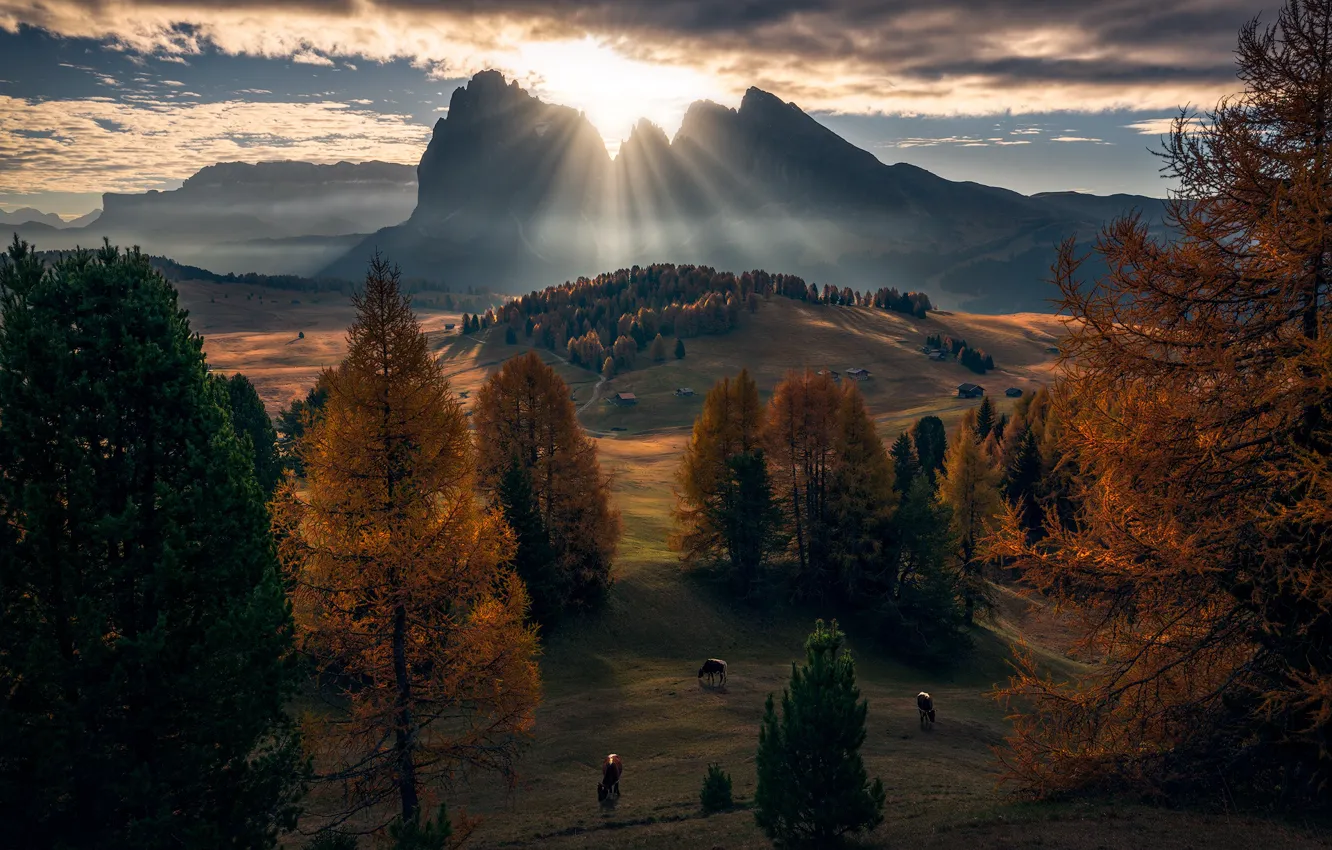 Фото обои осень, горы, Dolomites