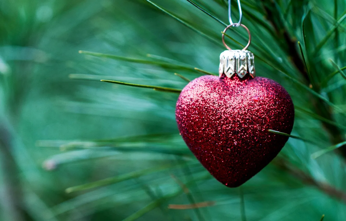 Фото обои иголки, красное, игрушка, сердце, ель, ветка, Новый Год, Рождество