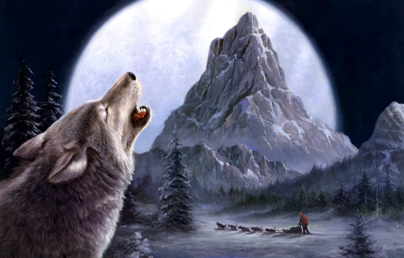 Фото обои зима, волки, живопись, Tok Hwang