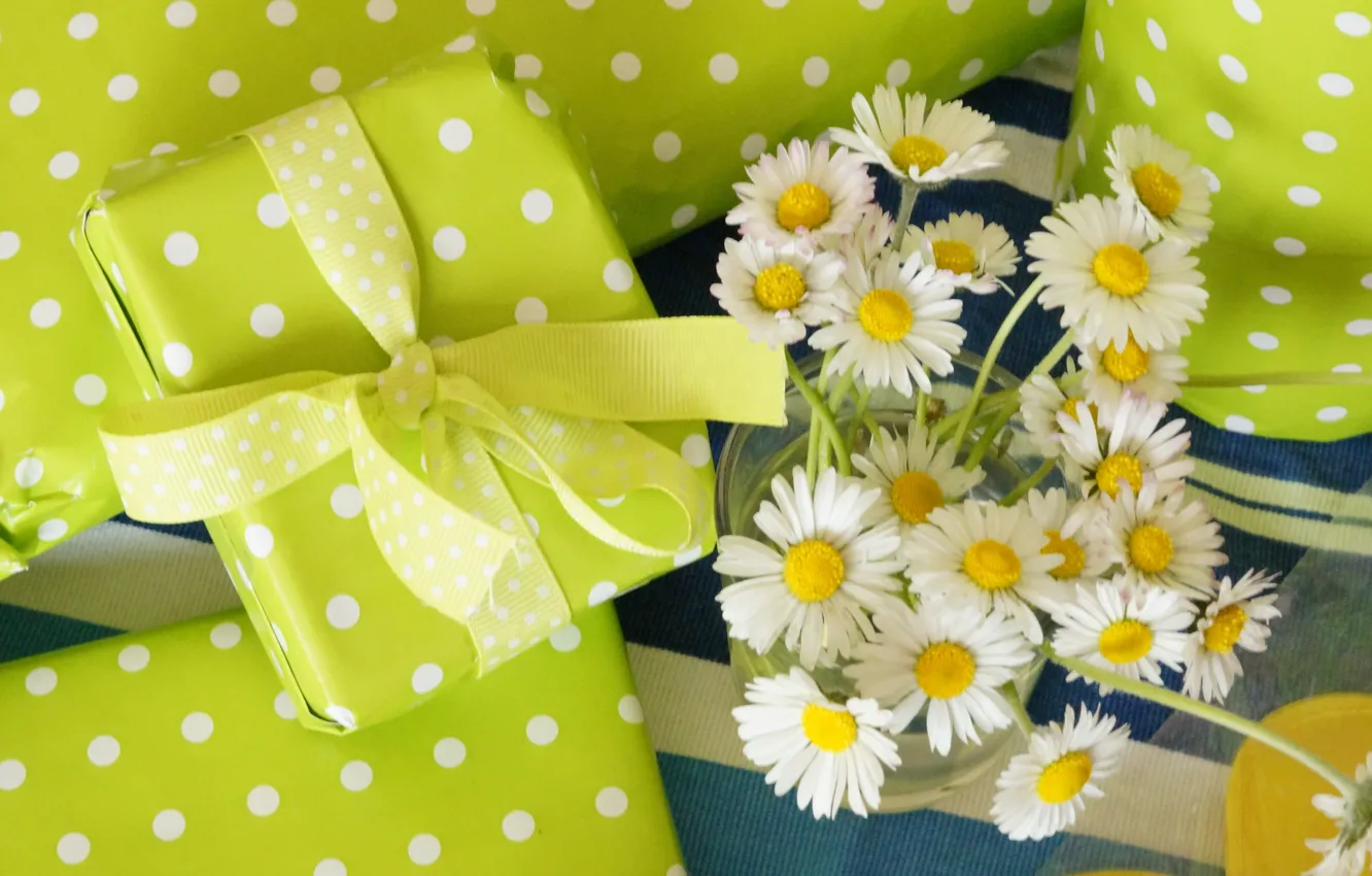 Фото обои цветы, ромашки, букет, лепестки, подарки, white, белые, flowers