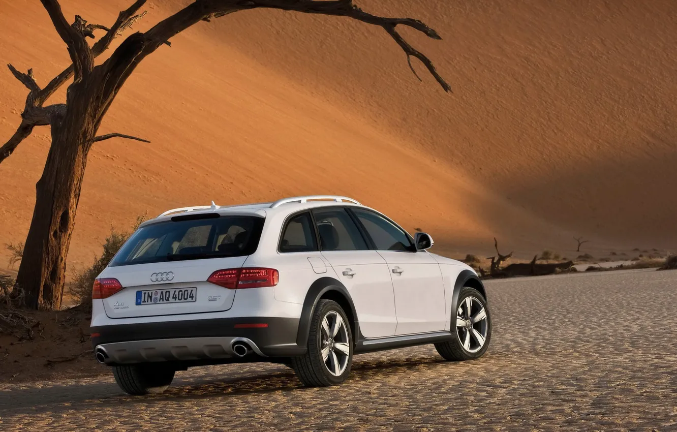 Фото обои белый, Audi, пустыня, Allroad