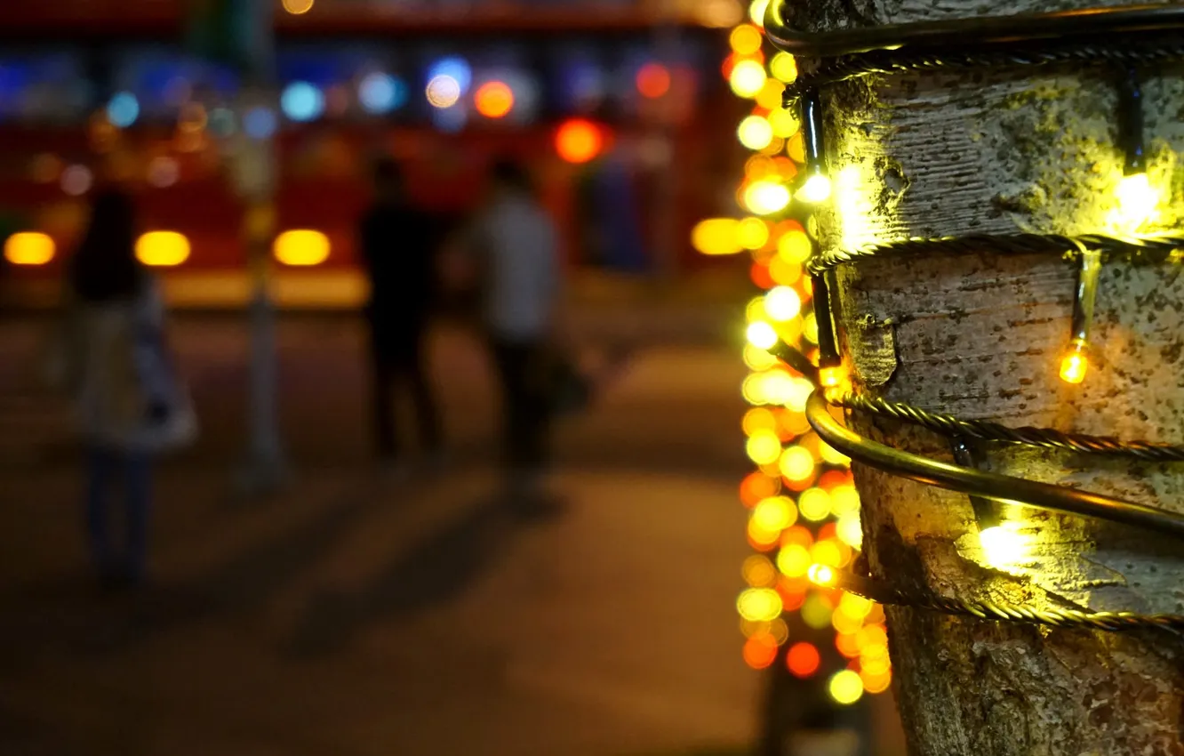 Фото обои макро, свет, огни, дерево, улица, огоньки, Новый Год, Рождество