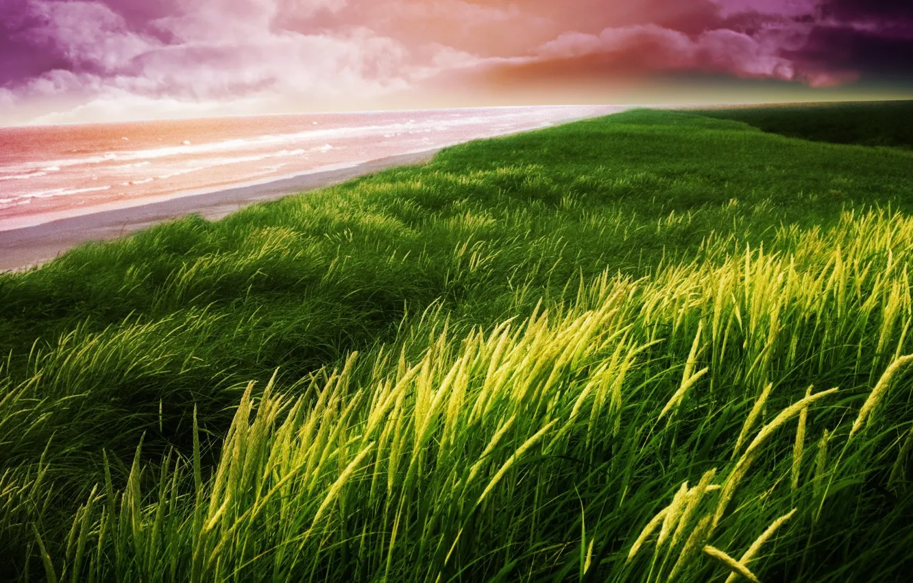 Фото обои пляж, небо, трава, природа, берег, пейзажи