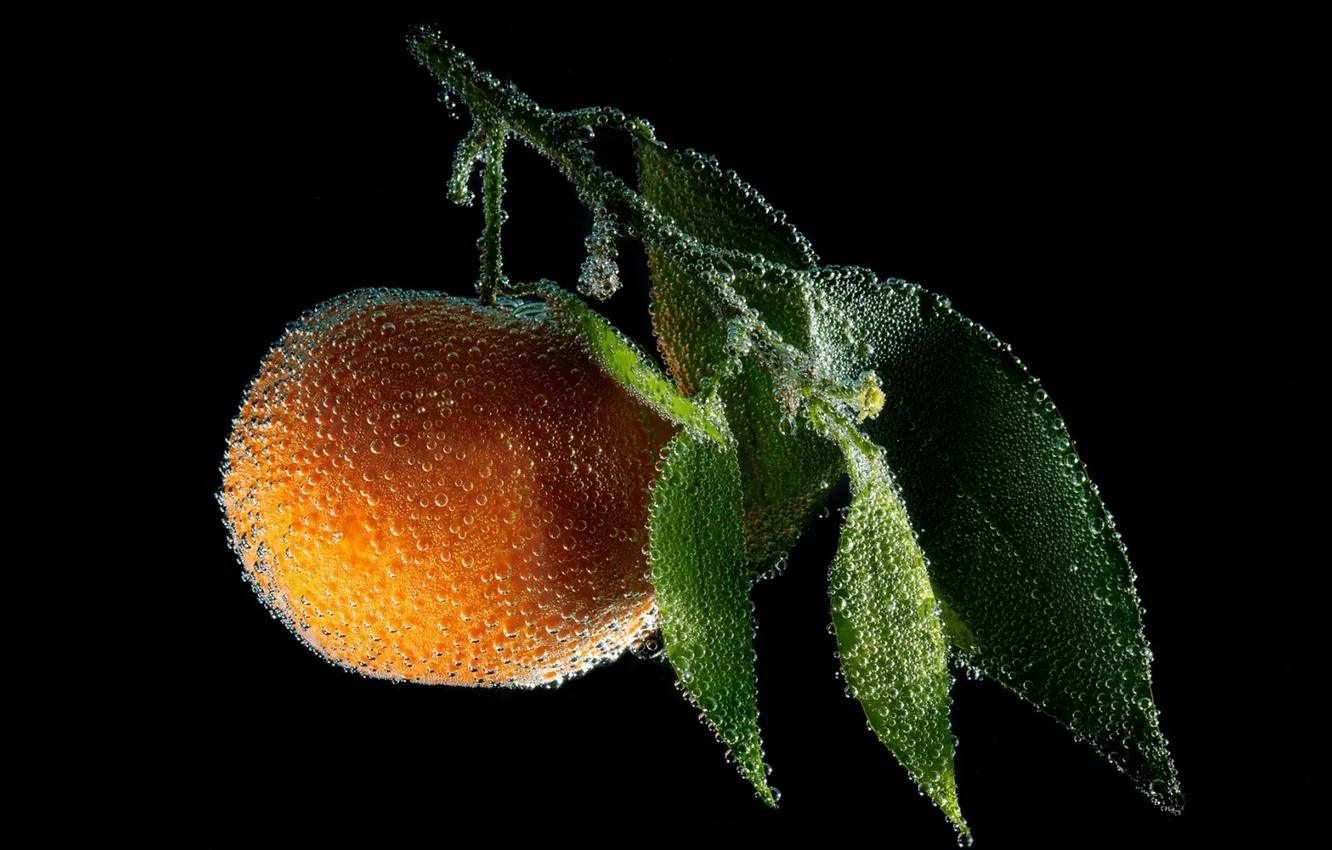 Фото обои листья, пузырьки, апельсин, ветка, черный фон, персик