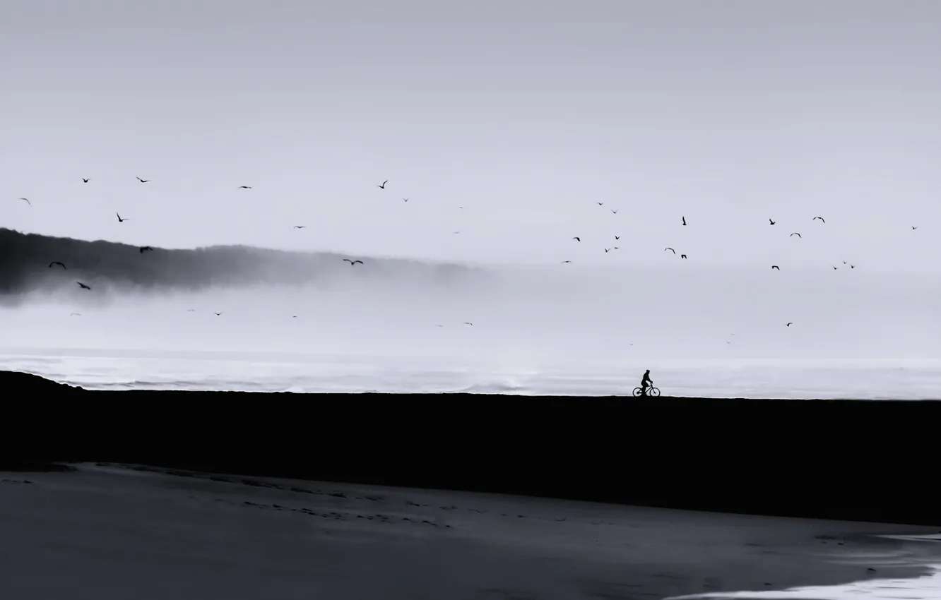 Фото обои море, пейзаж, птицы, туман, человек, минимализм