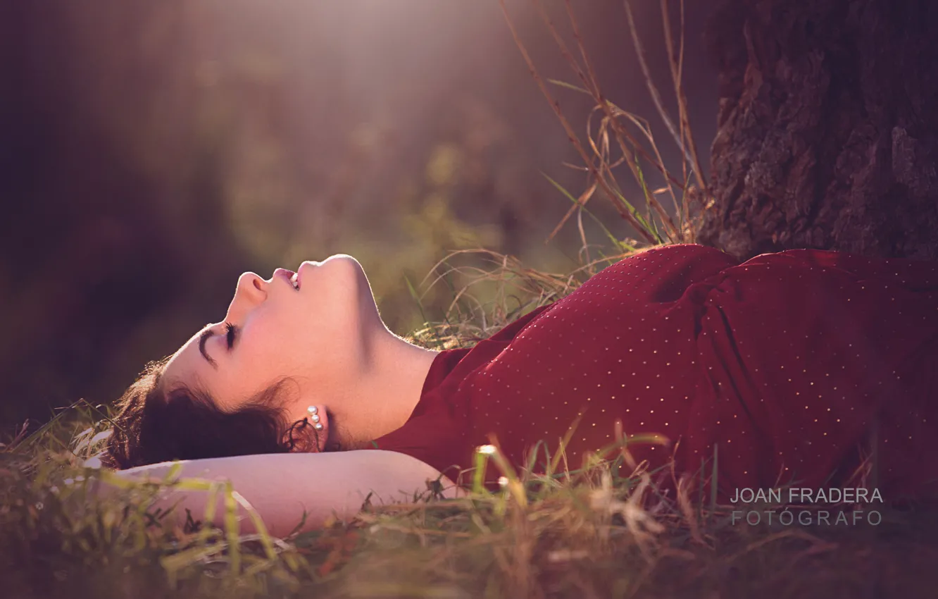 Фото обои трава, девушка, солнце, дерево, брюнетка, лежит, на природе, боке
