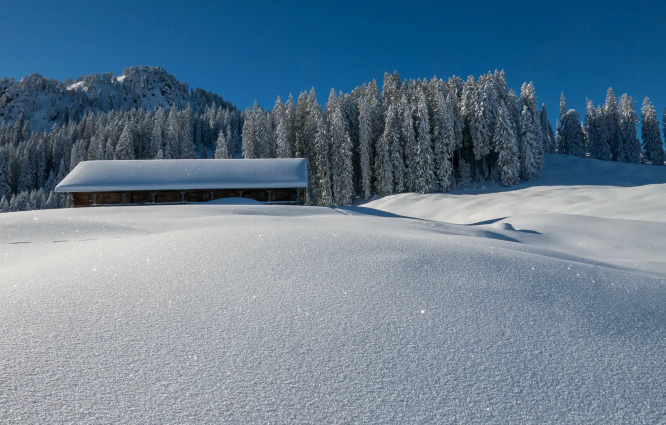 Фото обои зима, крыша, поле, лес, небо, свет, снег, дом