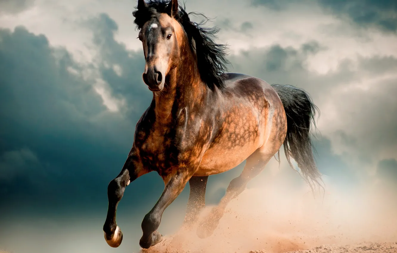 Фото обои конь, пустыня, Лошадь, мустанг, галоп, скакун